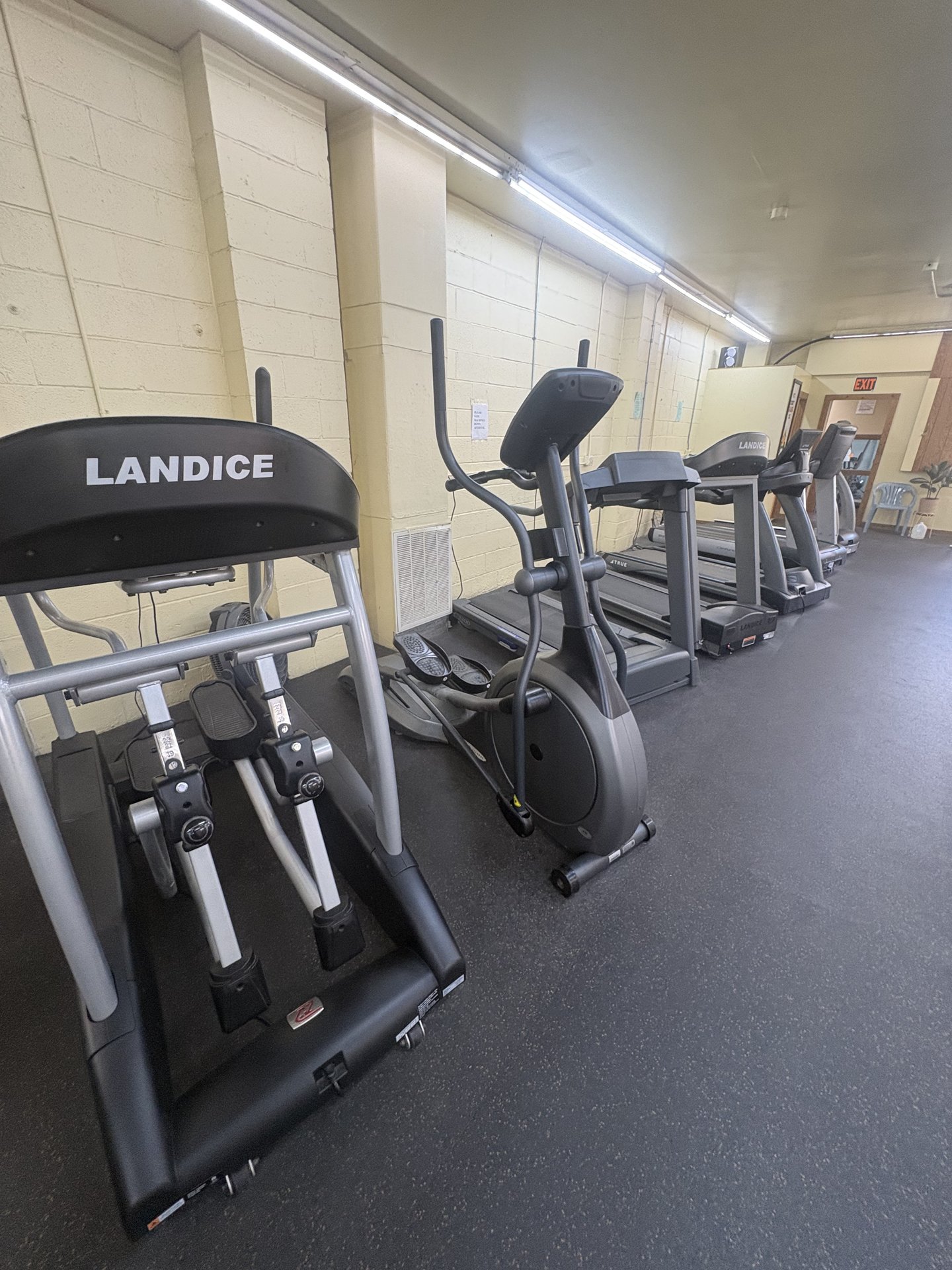 Landice treadmill and elliptical in the cardio area