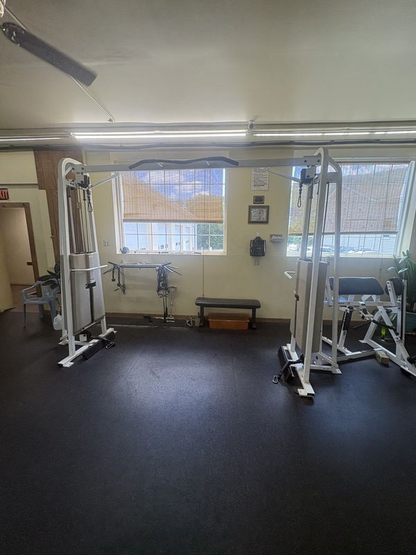 Cable machines beside the windows