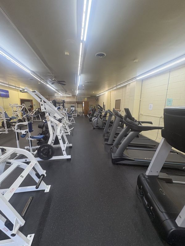 Cardio machines lined along the training floor