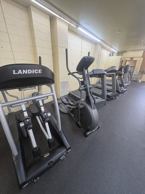 Landice treadmill and elliptical in the cardio area