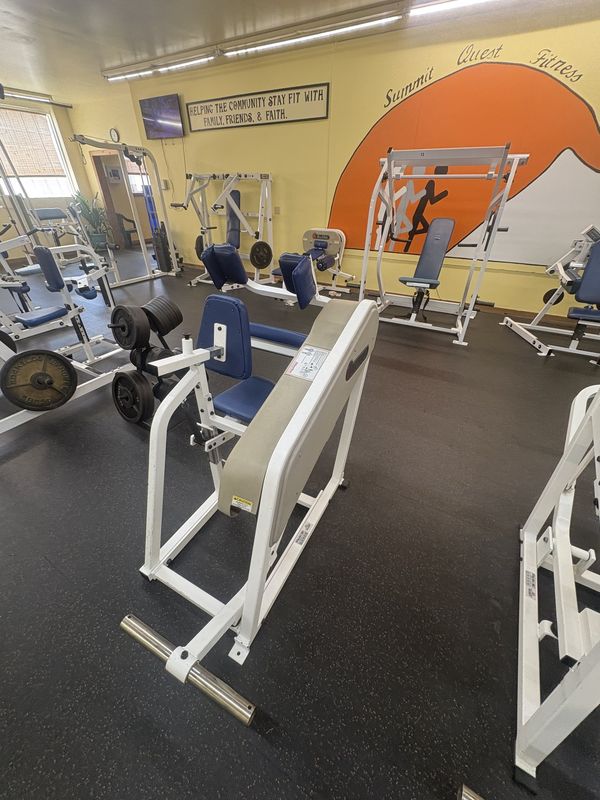 Strength machines beneath the gym mural