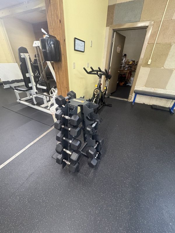 Dumbbell rack and weight plate tree